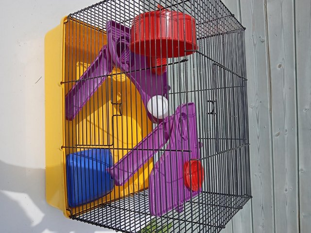 hamster cages with accessories Pets Preloved