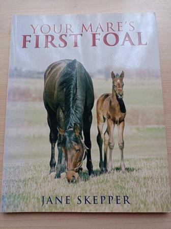 Image 1 of Your Mare's First Foal by Jane Skepper