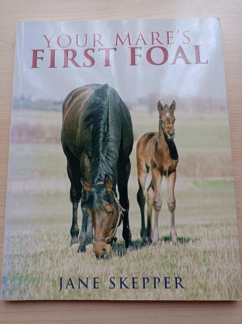 Preview of the first image of Your Mare's First Foal by Jane Skepper.