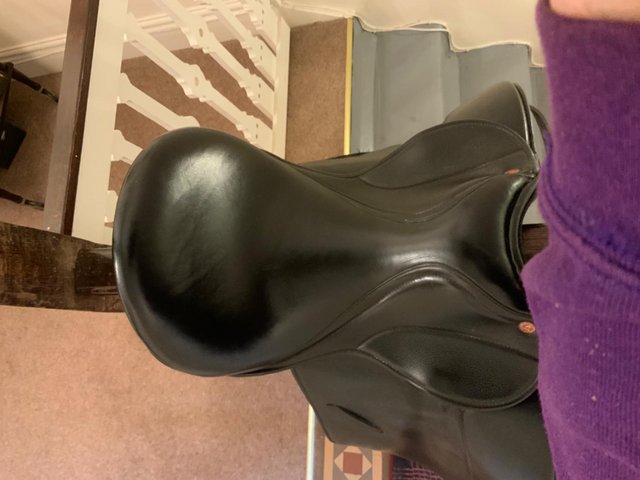 Preview of the first image of Dressage Saddle by Saddle Company.
