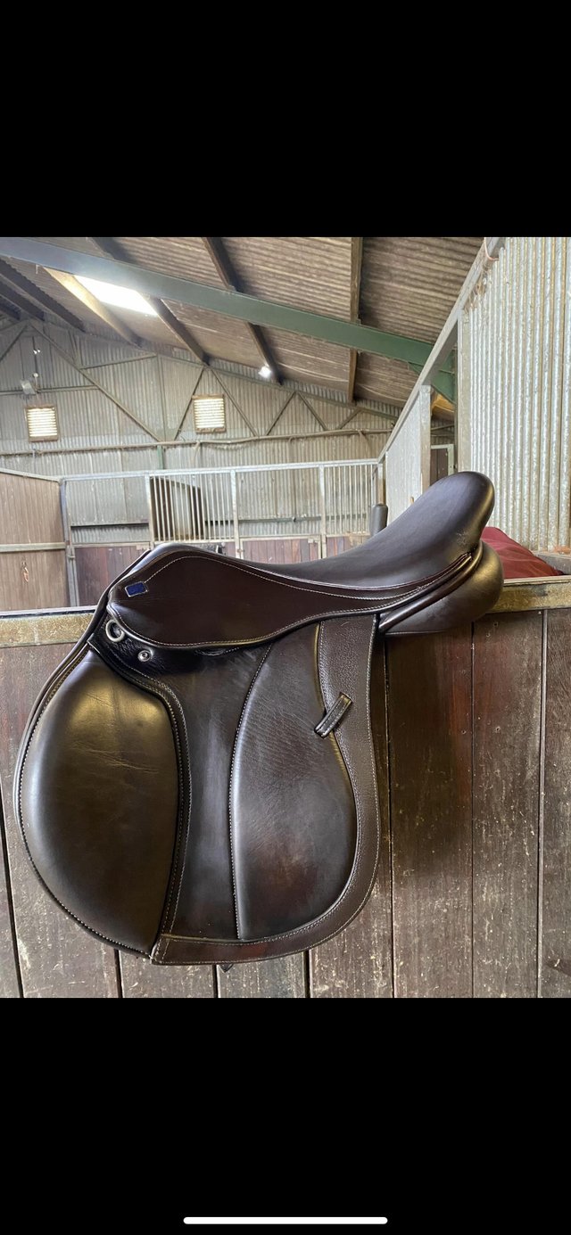 Preview of the first image of Gfs monarch regency jump saddle.