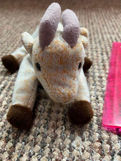 Preview of the first image of Cute Beanie Baby 'Goatee' the Goat  cuddly toy.