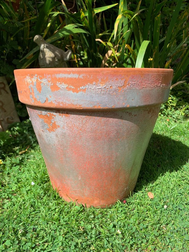 Preview of the first image of Terracotta plant pot see description please.