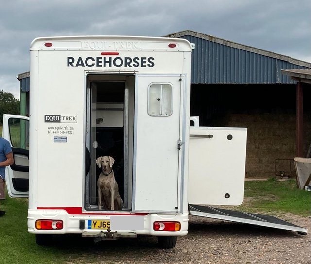 Preview of the first image of Equitrek 2015 3.5t super sonic horsebox.