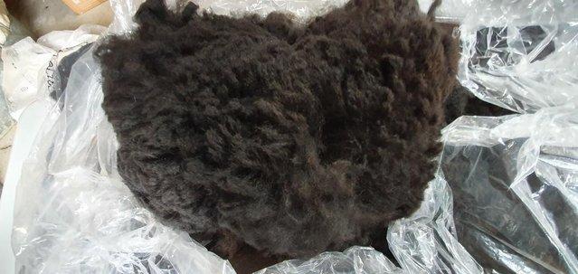 Image 5 of Alpaca fleece for sale - premium fibre from £17.50 per kg