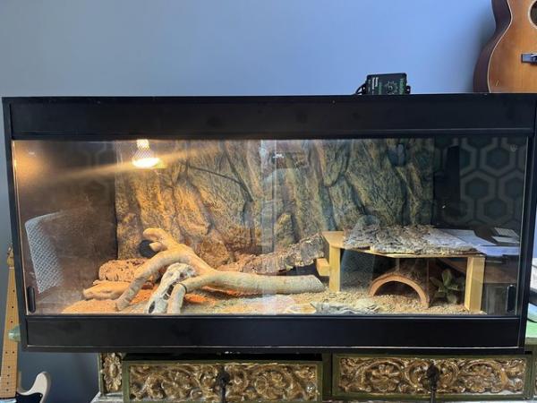 Image 1 of Full 4ft/2ft/2ft vivarium set-up. With accessories