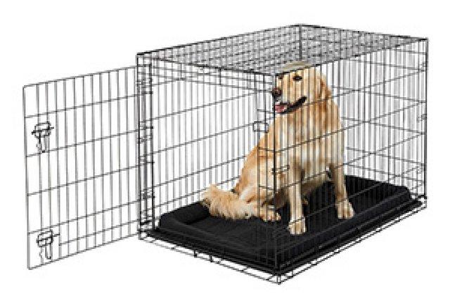 Image 1 of Large single door dog or cat crate