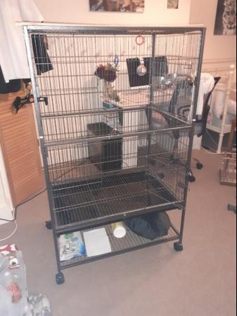 Image 1 of Large bird cage nearly new and new accessories.