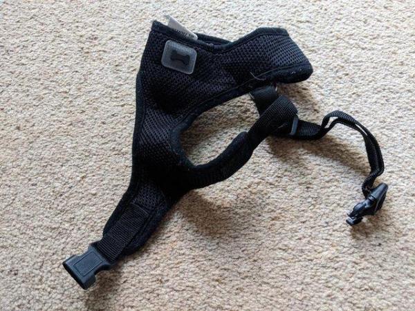 Image 4 of Harness for puppies or small dog 'Pets at Home'