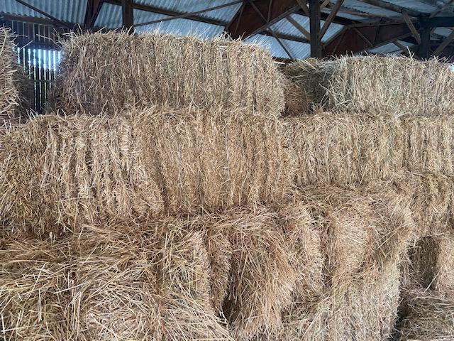 Preview of the first image of Meadow Hay and Straw - south Norfolk.