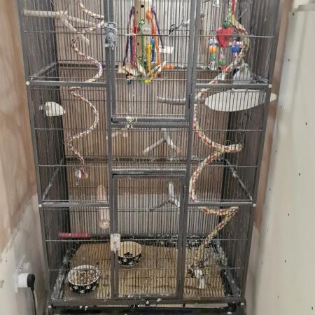 Image 4 of Bird cage with uv light + toys
