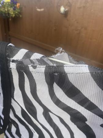 Image 2 of zebra fly rug 6.3 comes with matching fly mask