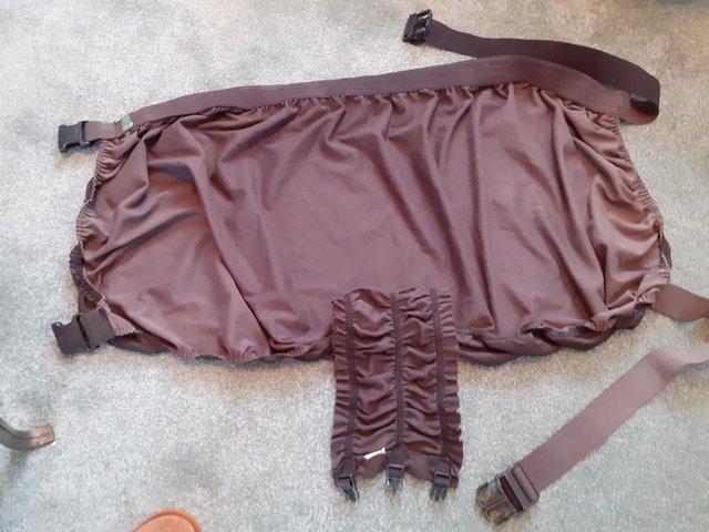 Preview of the first image of Boett rug stomach piece size 4+.