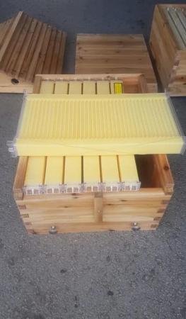 Image 2 of Auto flow bee hive (bees £200 extra)