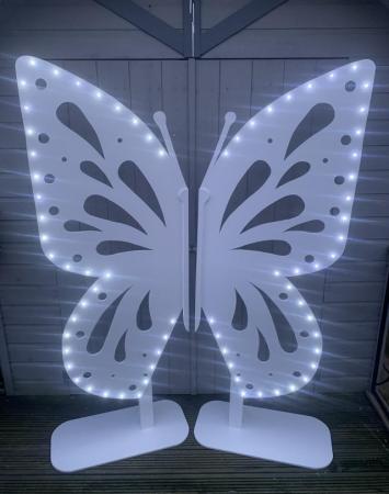 Image 1 of GIANT BUTTERFLY FOR SALE ........