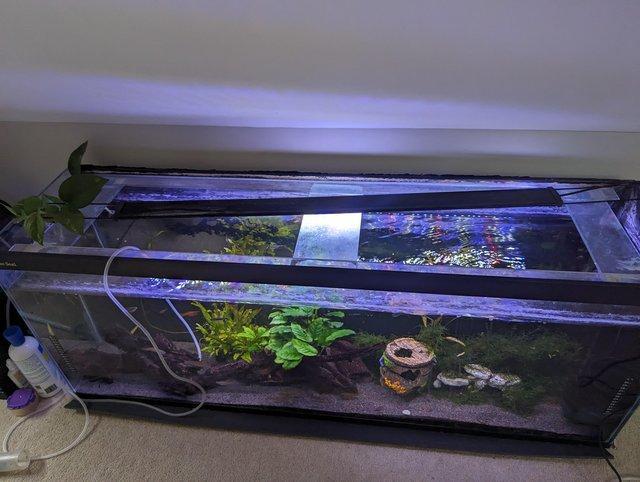 Preview of the first image of 4ft fish tank, 160l, full set up.