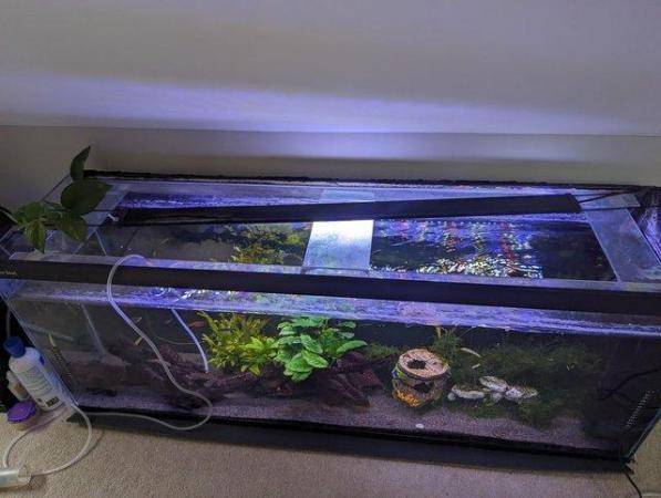 Image 1 of 4ft fish tank, 160l, full set up