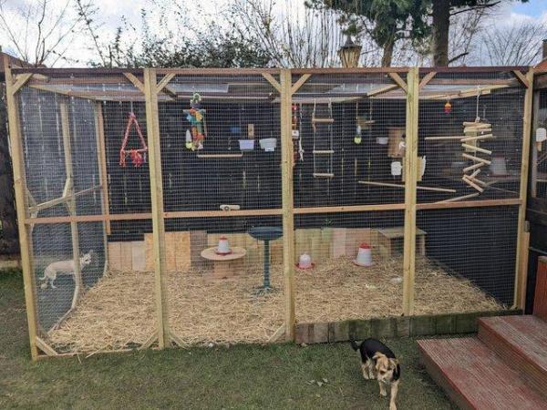 Image 1 of Bird Rehoming Sanctuary Service