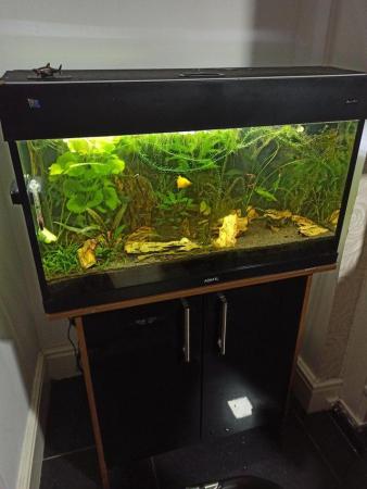 Image 2 of 140 Litres fish tank with stand including fishes