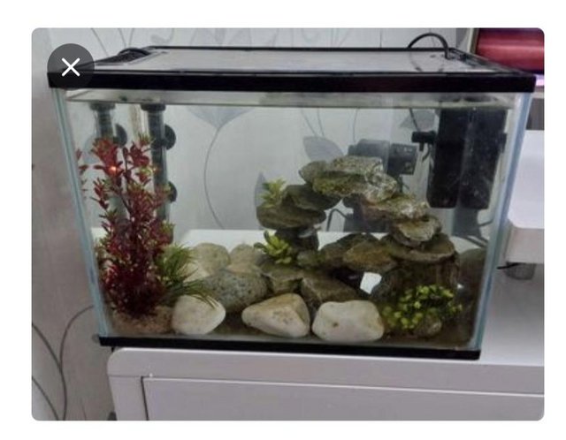 Preview of the first image of Complete Fish Tank set up ready to go.