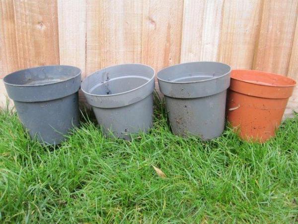 Image 2 of Assortment of different size plastic plant pots