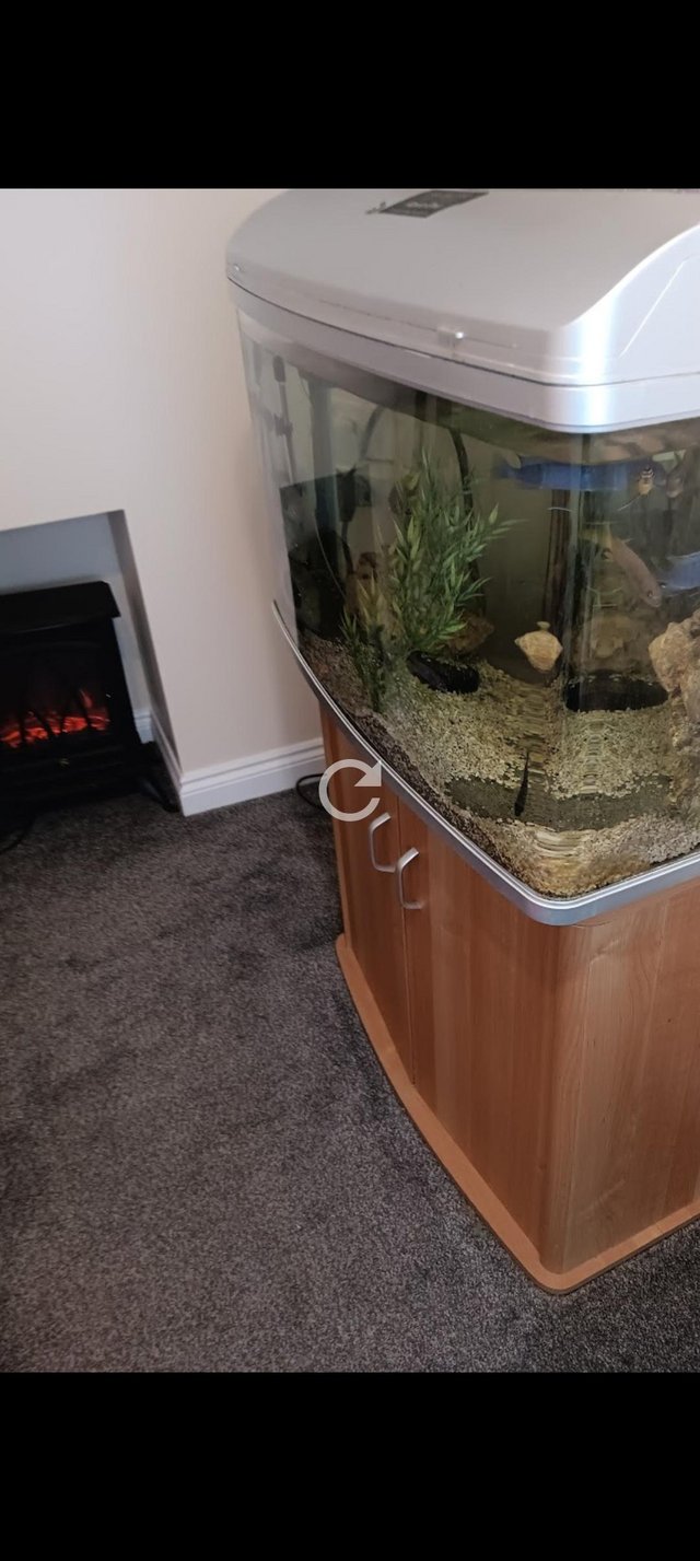 Preview of the first image of FISH TANK , FILTER ROCKS GRAVEL ,PLANTS.