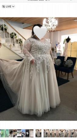 Image 2 of White Rose Plus Size Wedding Dress