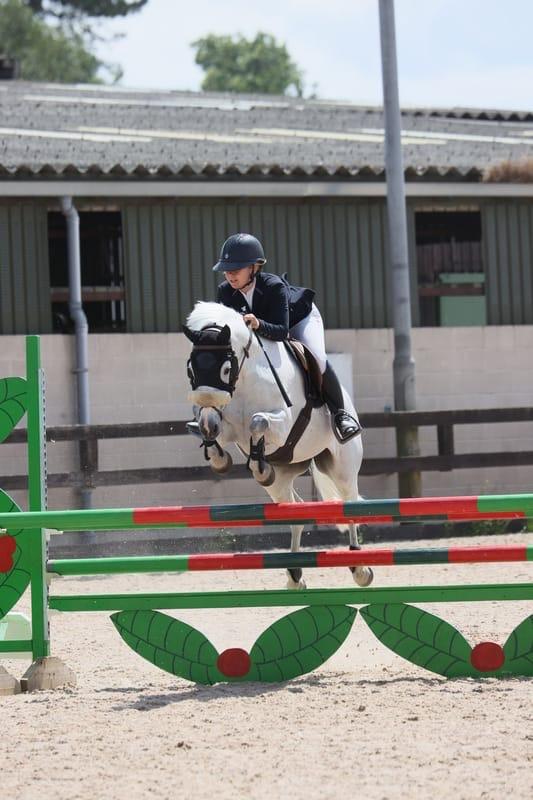 Preview of the first image of 14.1 showjumping pony for sale.