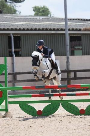 Image 1 of 14.1 showjumping pony for sale