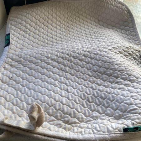 Image 1 of NuMed High Wither Saddle pad White