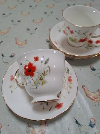 Image 3 of Colclough Bone China Replacements