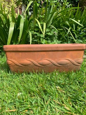 Image 3 of Italian terracotta plant pot