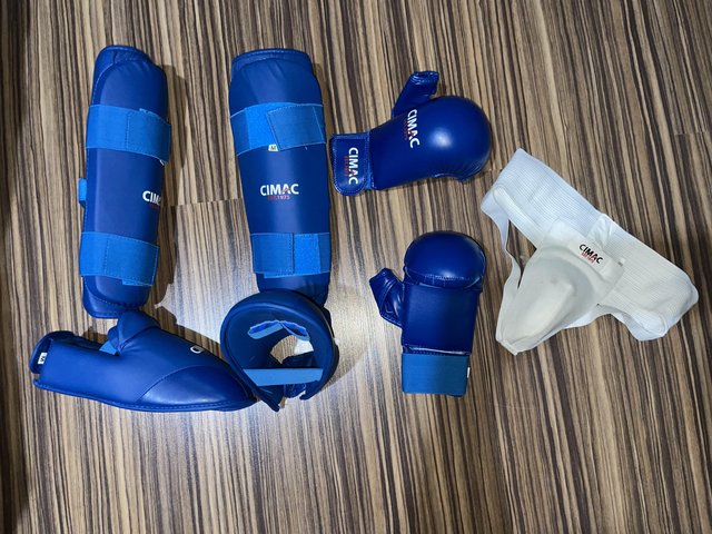 Preview of the first image of Junior sparring mitts, leg/feet covers and groin guard.