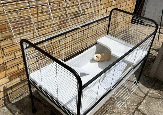Image 1 of Guinea Pig / Rabbit Cage with stand