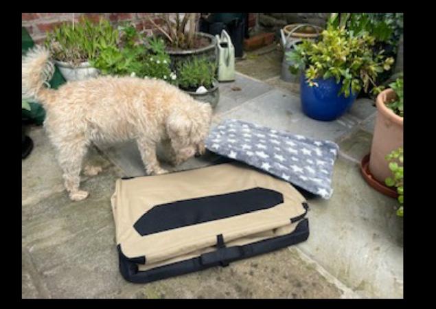 Image 4 of Amazon Basics Collapsable Dog Crate