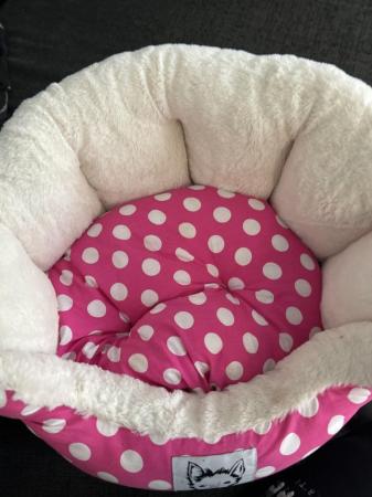 Image 4 of Brand new bunty bed for sale