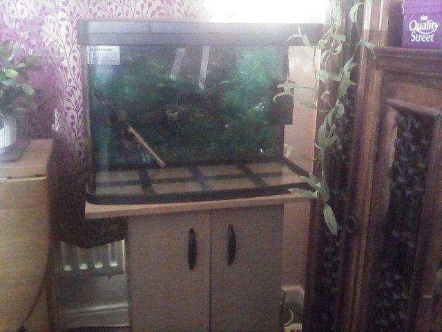 Preview of the first image of Two foot tropical fish tank free to any one.