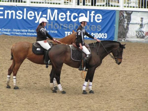 Image 2 of 15.2 polo mare, would also convert to dressage