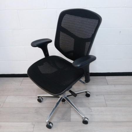 Image 1 of EasyErgo Executive Office Chair