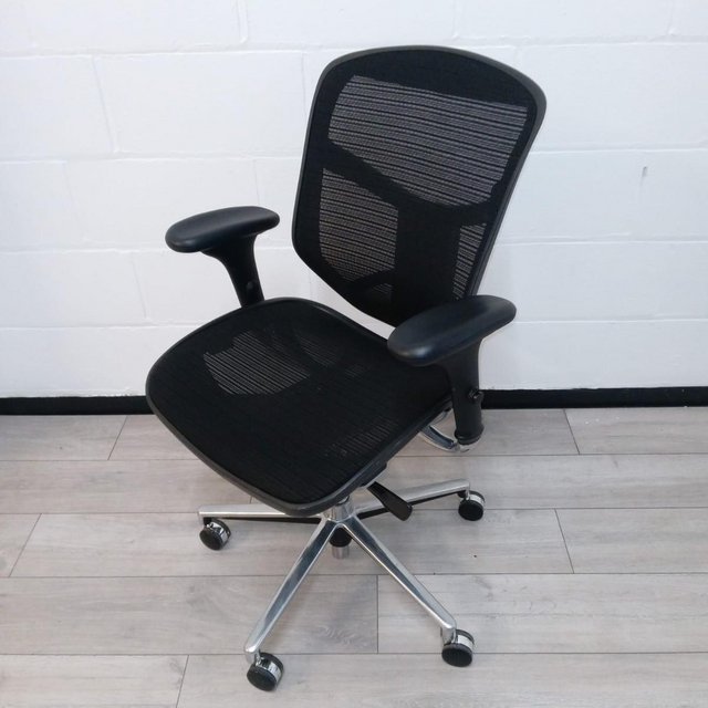 Preview of the first image of EasyErgo Executive Office Chair.