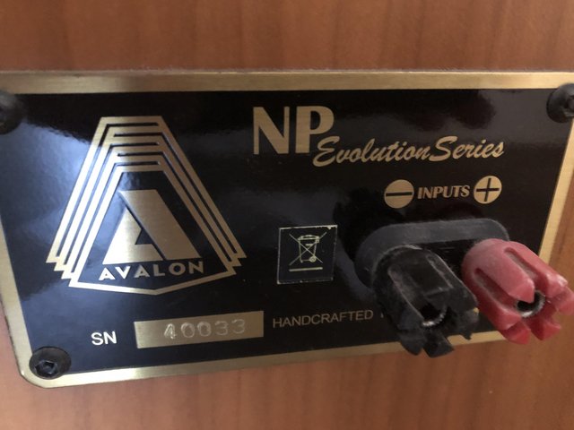 Preview of the first image of Avalon Acoustics NP Evolution.