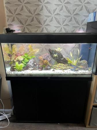 Image 5 of Full aquarium set up juwel tank