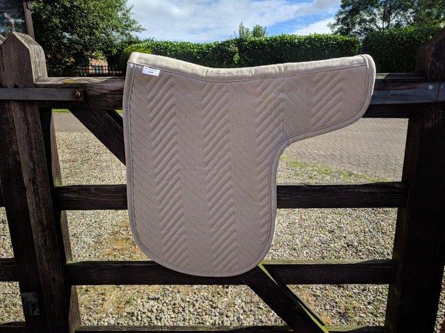 Preview of the first image of NEW FULL STUBBEN DRESSAGE NUMNAH OATMEAL VELVET LINED.
