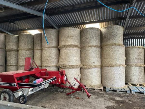 Image 2 of Round Bale Excellent Hay For Sale