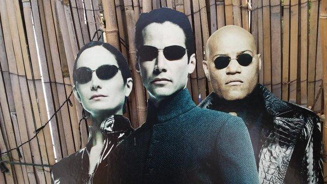 Image 4 of MATRIX ORIGINAL In-Store Promotional Cut Out Display