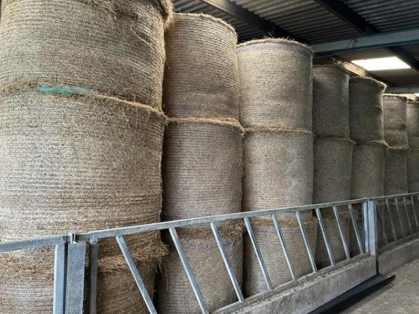 Image 1 of Round Bale Excellent Hay For Sale
