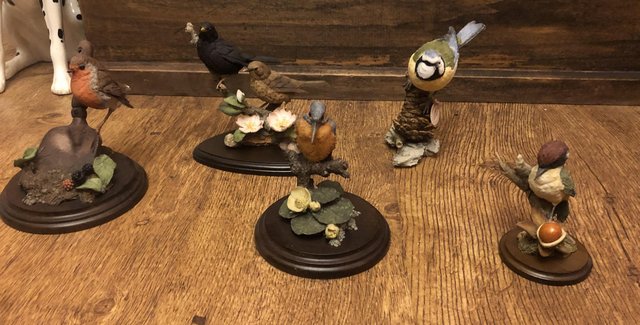 Preview of the first image of Collection of “Country Artist” Birds.