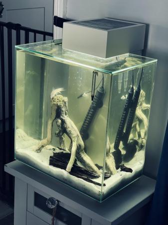 Image 2 of Fluval edge 46 litre fish/tank and draws/stand