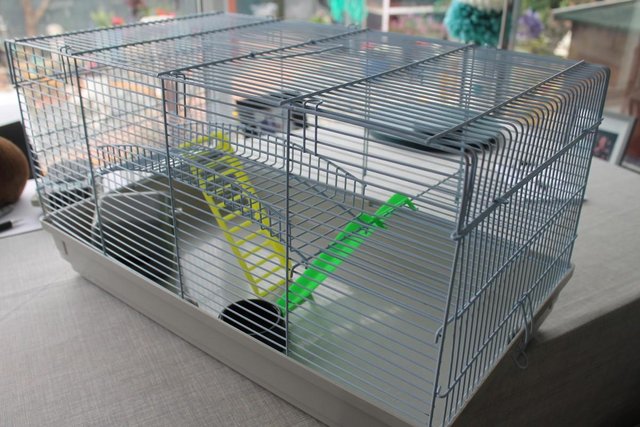 Image 4 of Hamster Cage - with food bowl and little house - Used