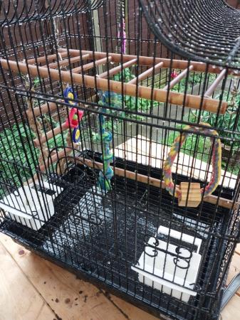 Image 2 of Bird cage for sale .....